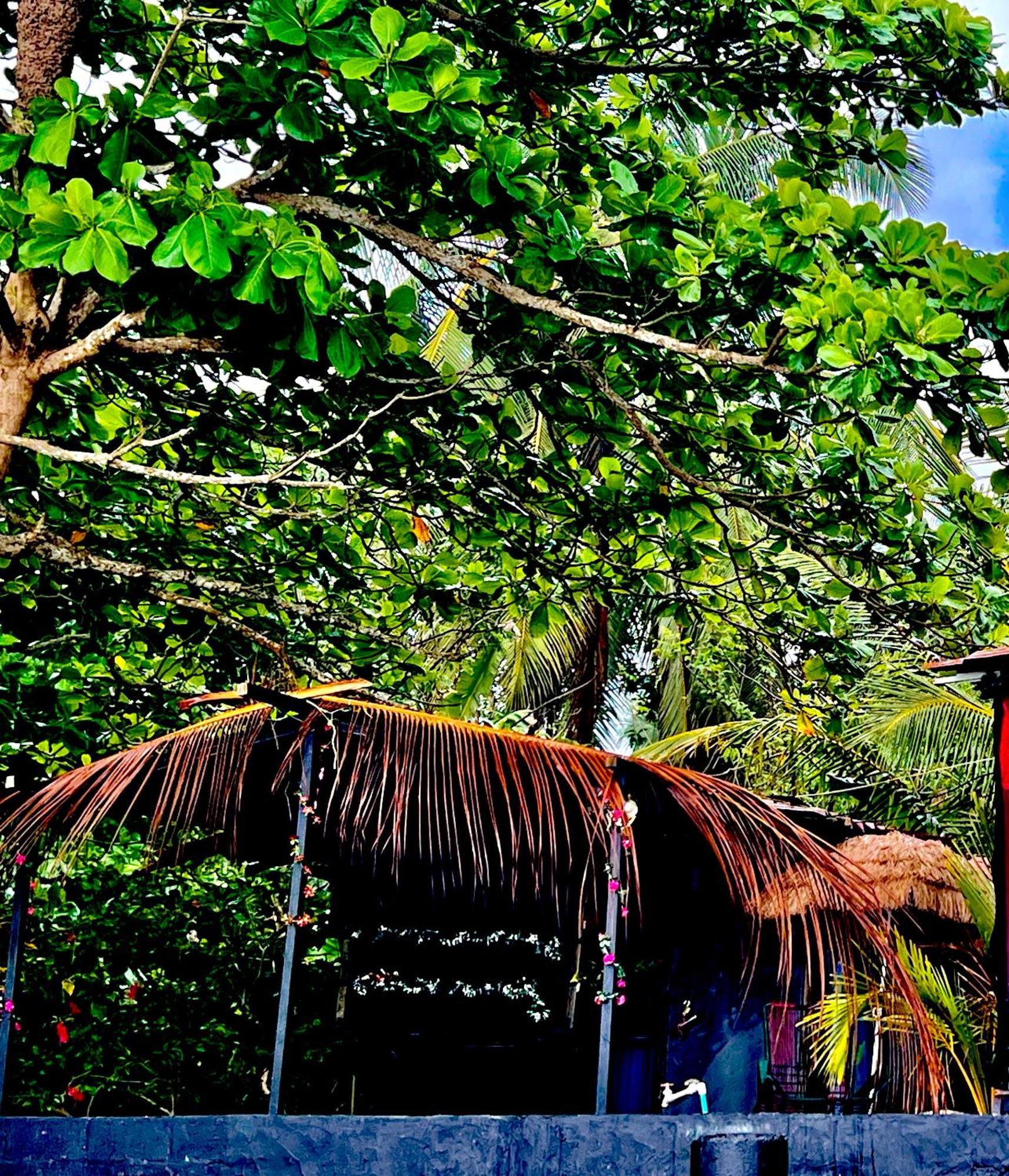 Beachfront Paradise Manuel Antonio Zewnętrze zdjęcie