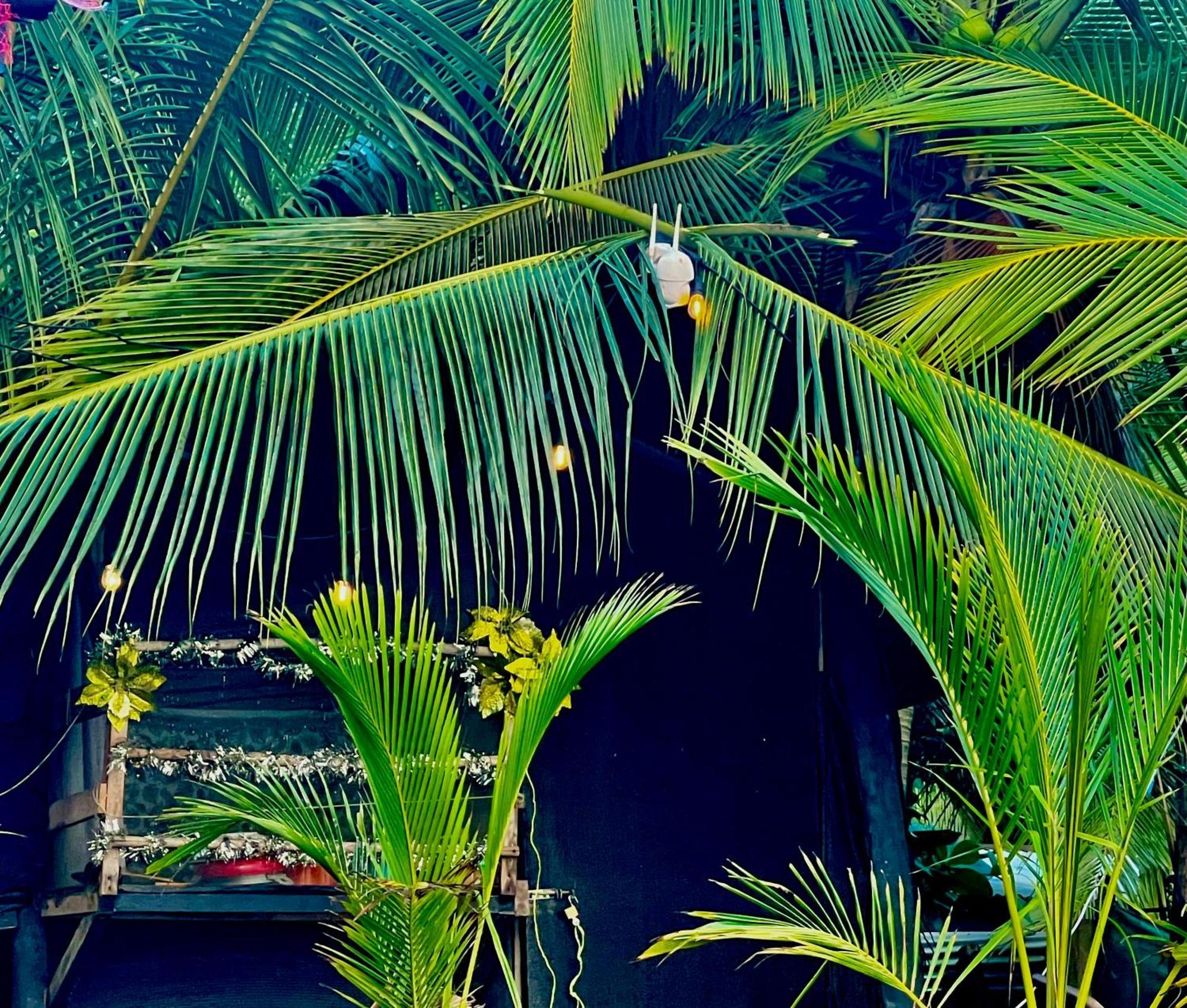 Beachfront Paradise Manuel Antonio Zewnętrze zdjęcie
