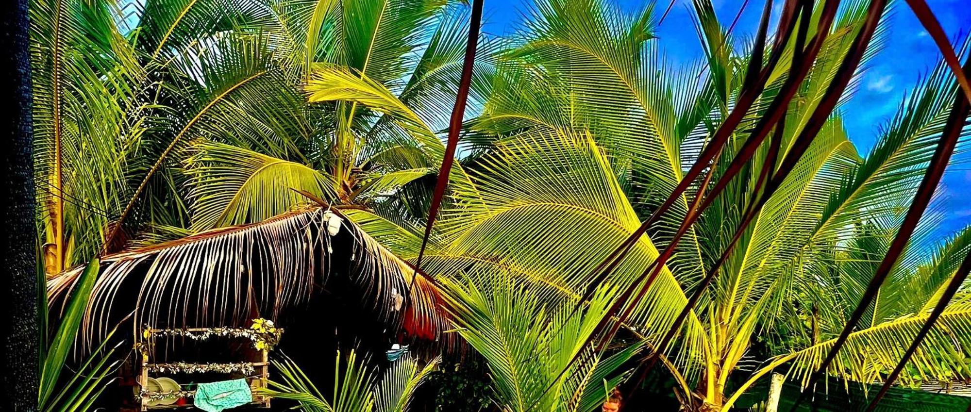 Beachfront Paradise Manuel Antonio Zewnętrze zdjęcie