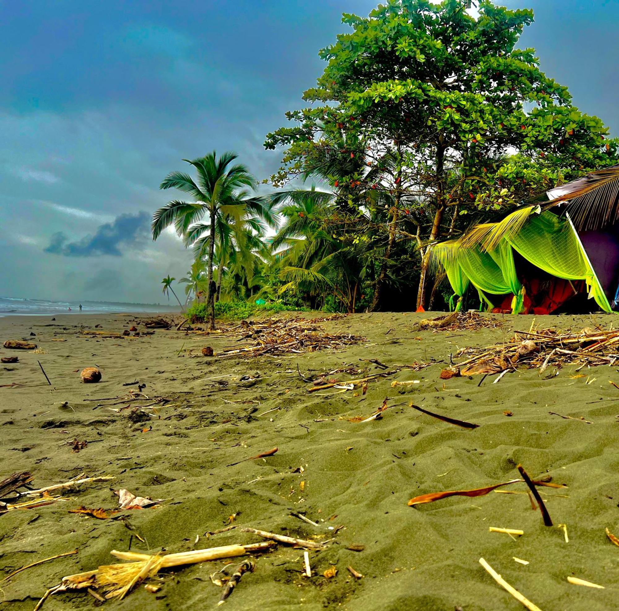Beachfront Paradise Manuel Antonio Zewnętrze zdjęcie