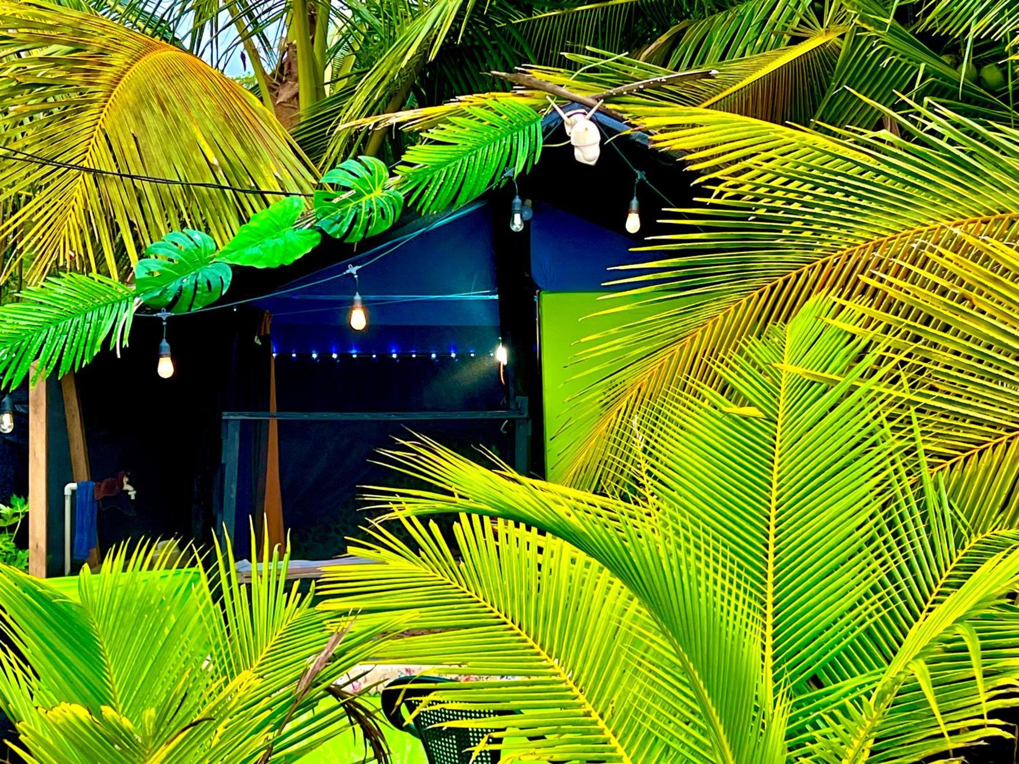 Beachfront Paradise Manuel Antonio Zewnętrze zdjęcie